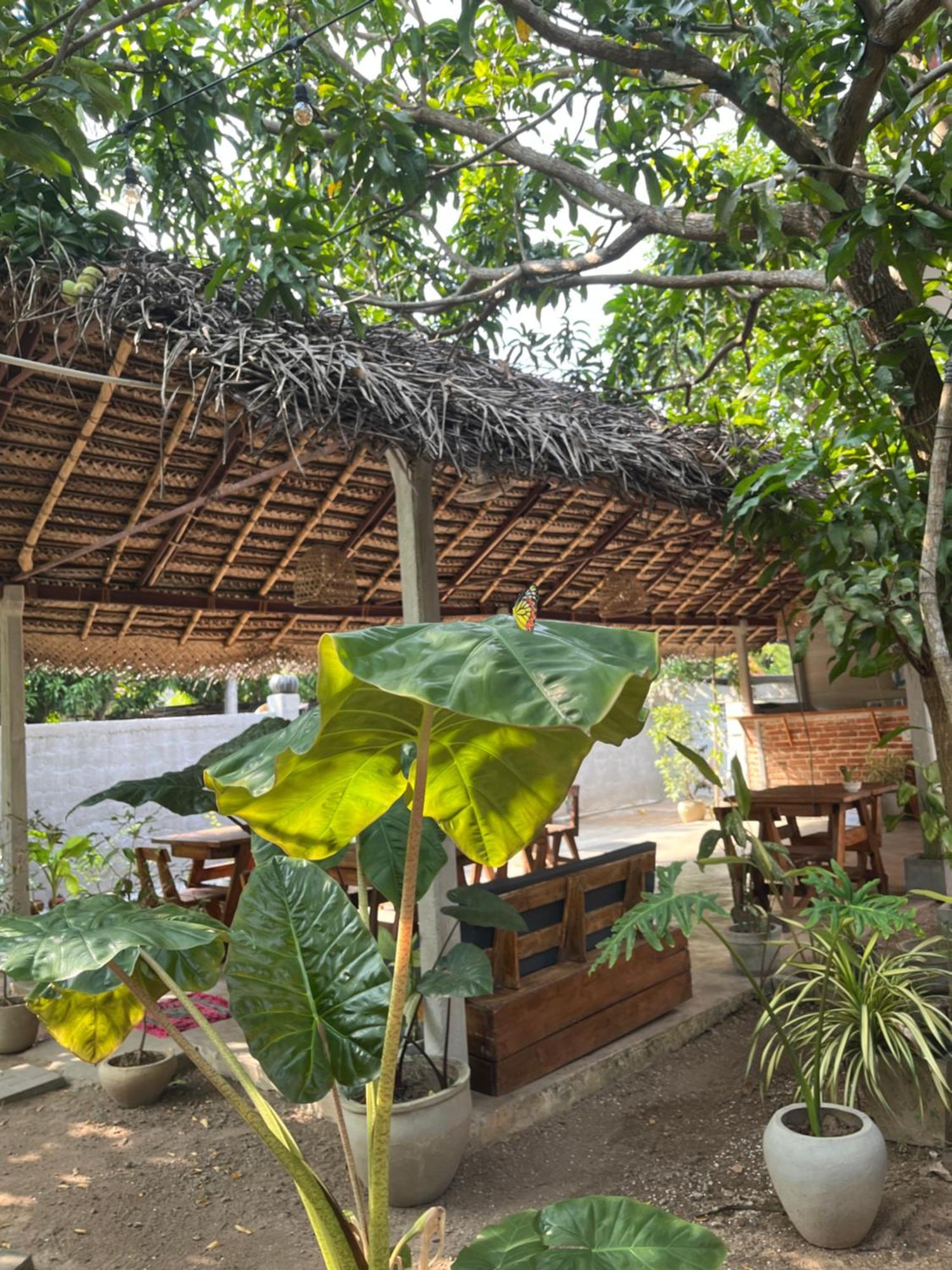 Avalon Apartment Weligama Exterior photo